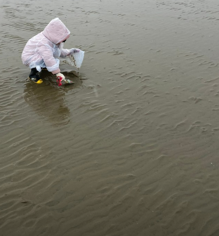 6시내고향 대맛조개 체험 택배 구입 문의 