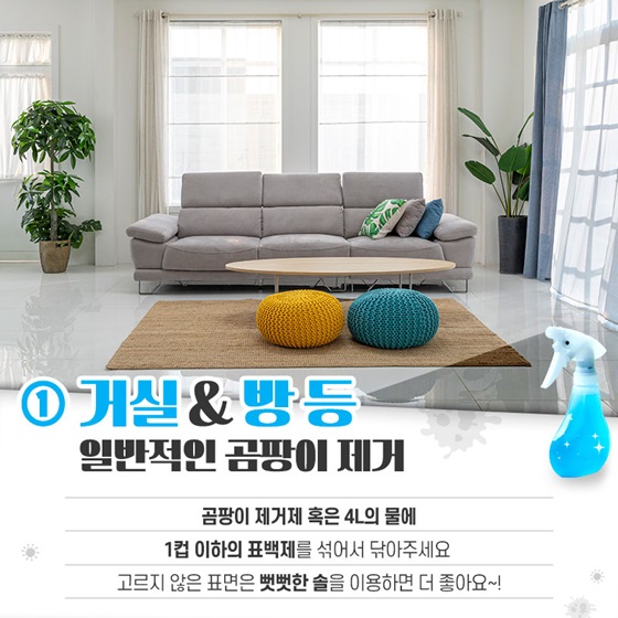 옷, 거실, 방, 화장실, 주방, 욕실, 에어컨 등 곰팡이 제거하는 5가지 방법