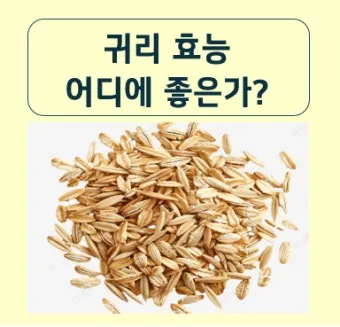 귀리 효능 부작용 밥짓기 먹는법 오트밀 차이_12