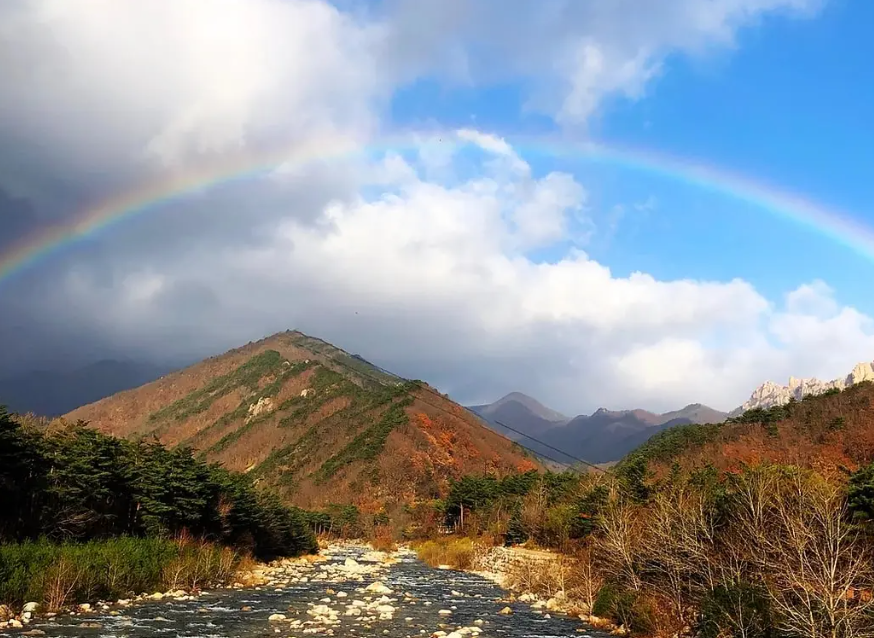 설악산 케이블카 운행시간 예약 방법
