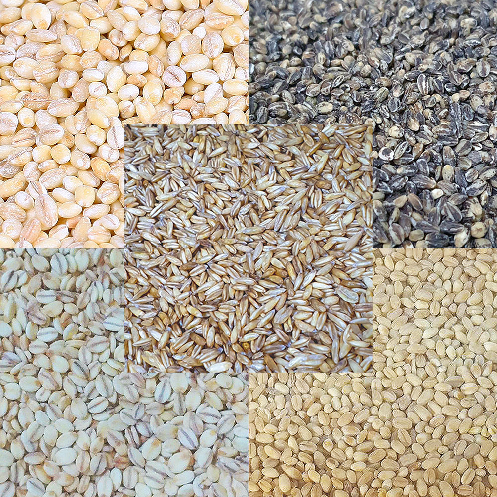 귀리,보리,통밀