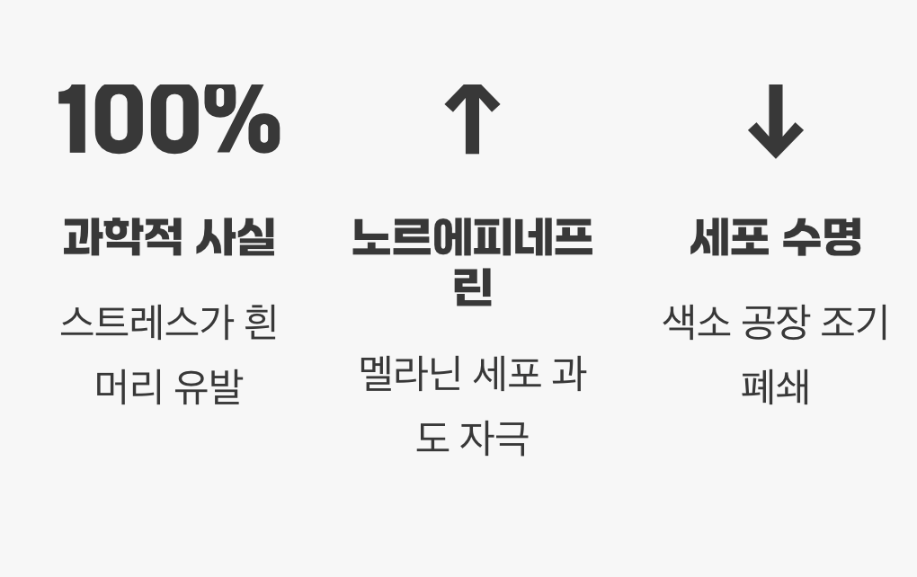 스트레스, 정말 흰머리를 만들까?