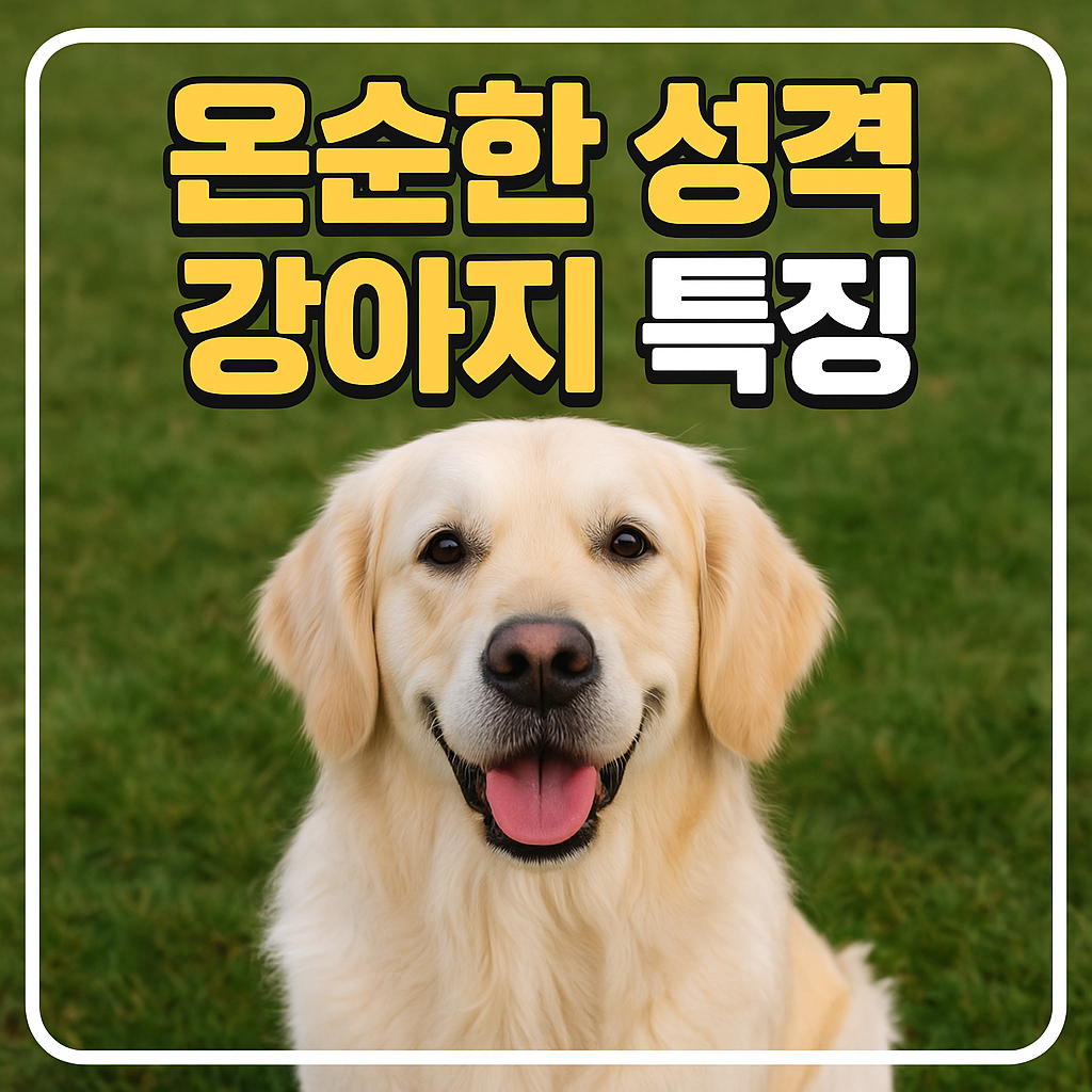 온순한 성격 강아지 특징