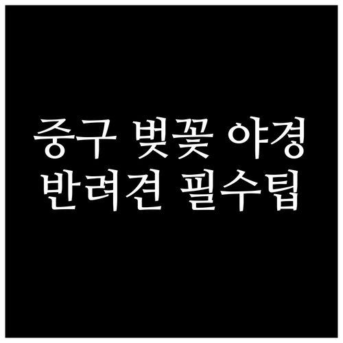 울산 중구 벚꽃 야간 조명 운영 시간..