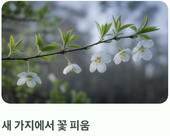 왜 '나무수국'은 꼭 잘라줘야 할까?