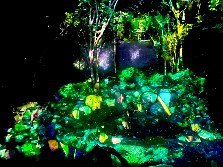 숲 속의 오케스트라2