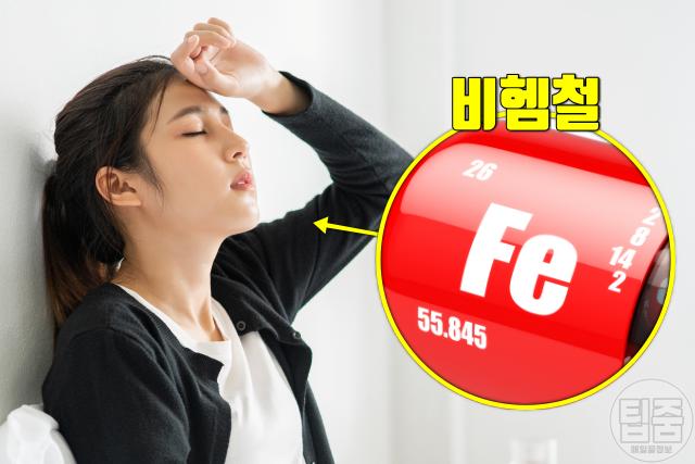 비타민c 부족 증상 코피 철분결핍