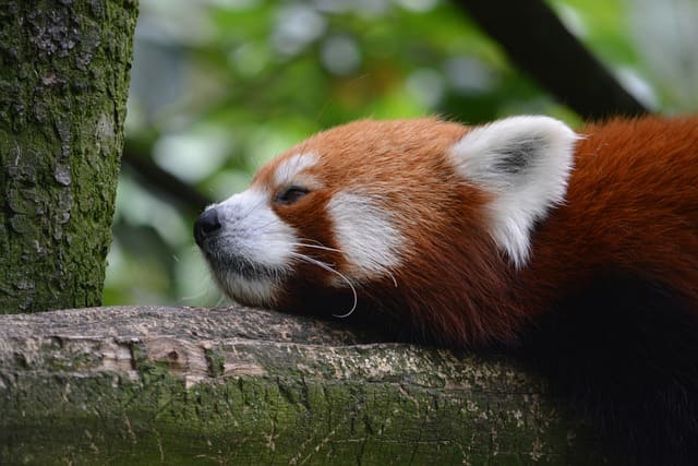 폭염주의보 및 폭염경보 발령 기준&amp;#44; 대피시설 쉼터&amp;#44; 대비방안 행동요령 안내 