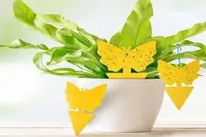 날파리퇴치