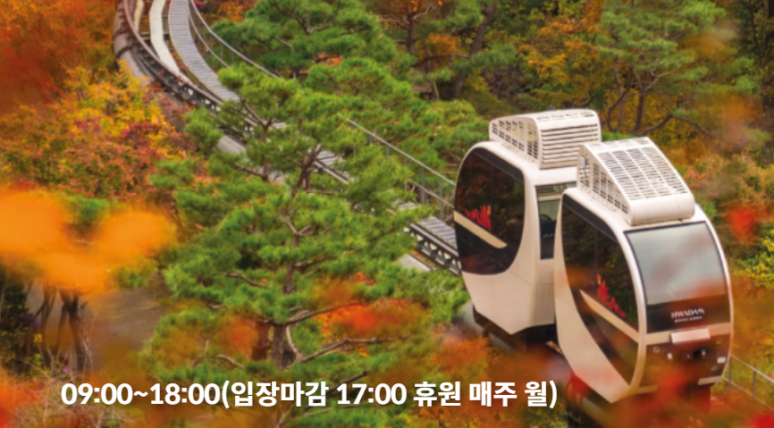 2024년 화담숲 단풍 절정 시기2