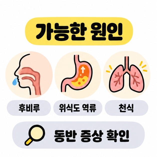 후비루, 위식도 역류, 천식을 코와 위, 폐 그림으로 나타내고 동반 증상을 확인하도록 안내한 이미지