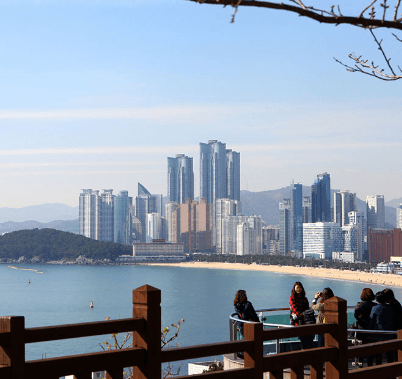 단풍여행 1박2일 버스여행 단풍구경