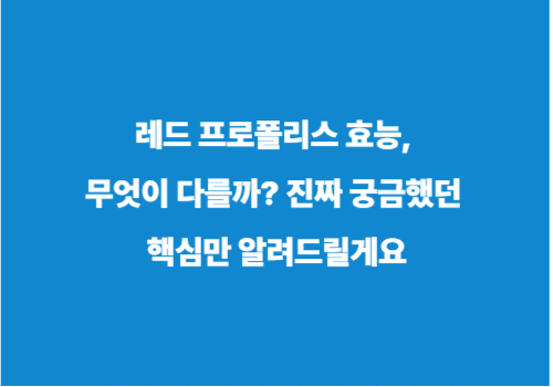 레드 프로폴리스 효능, 무엇이 다를까? 진짜 궁금했던 핵심만 알려드릴게요