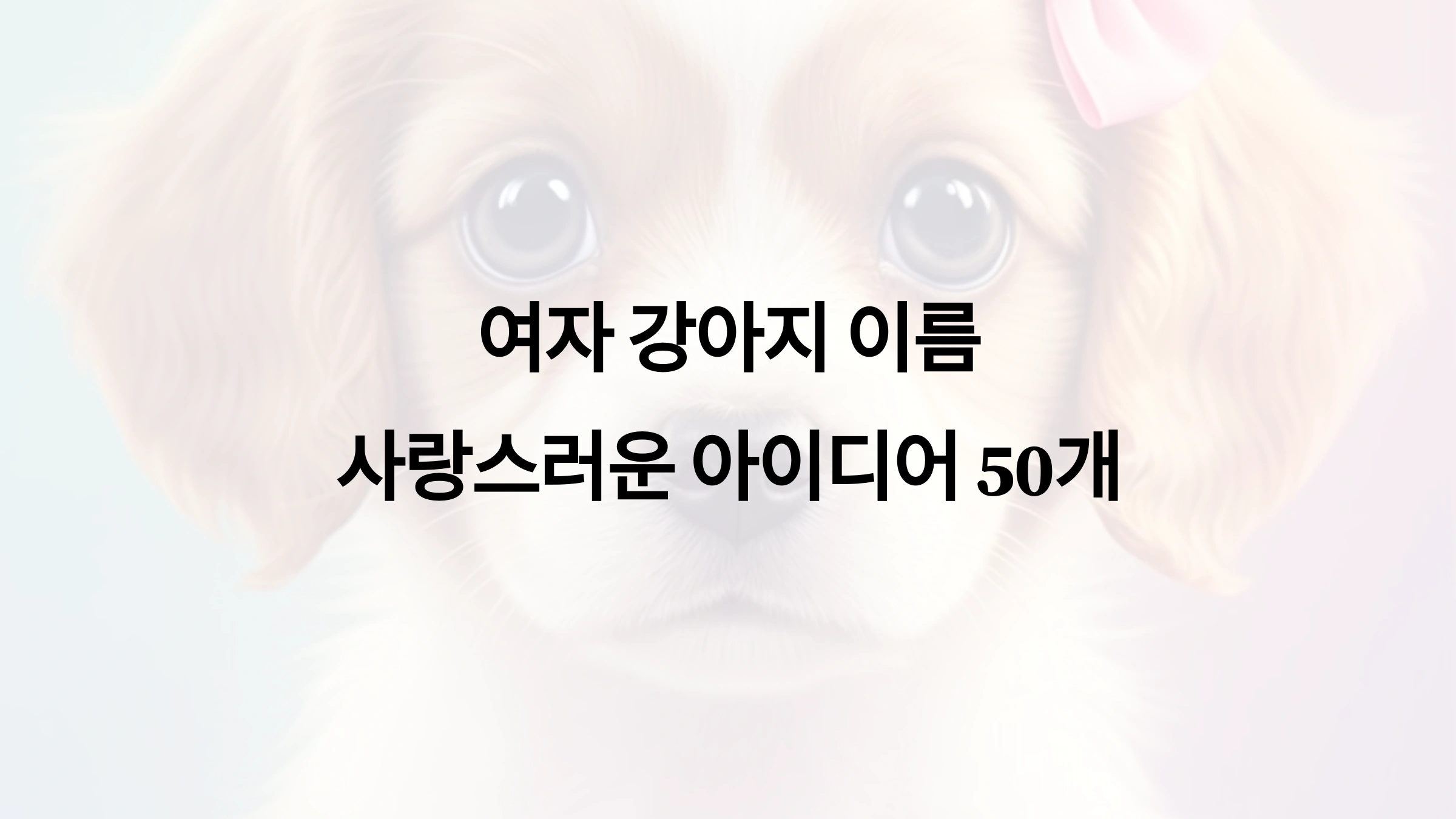 여자 강아지 이름 사랑스러운 아이디어 50개