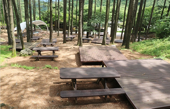 야영장