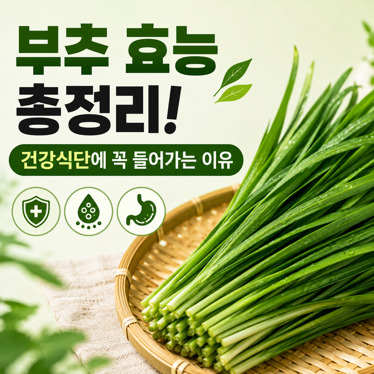 부추 효능