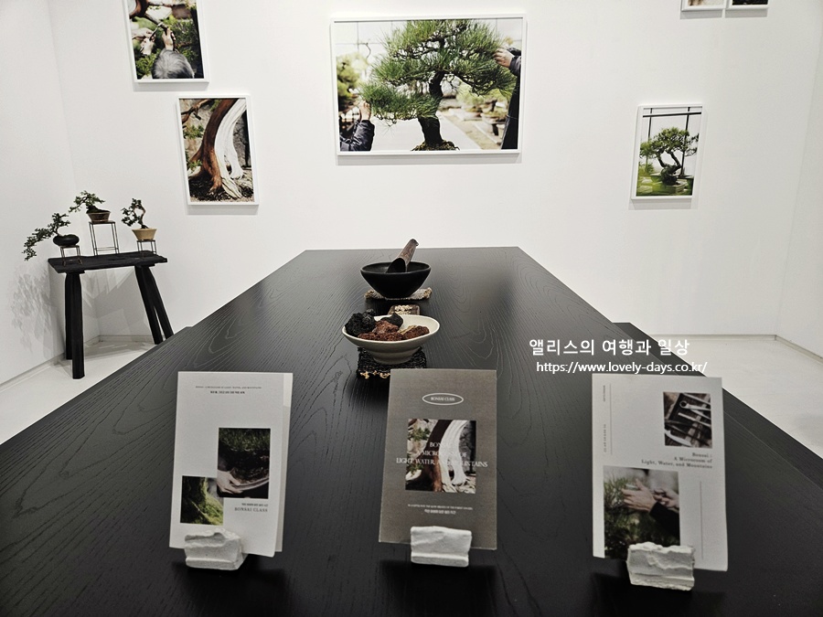 2025 화담숲 마지막 가을 단풍 화담채 분재 즐기기