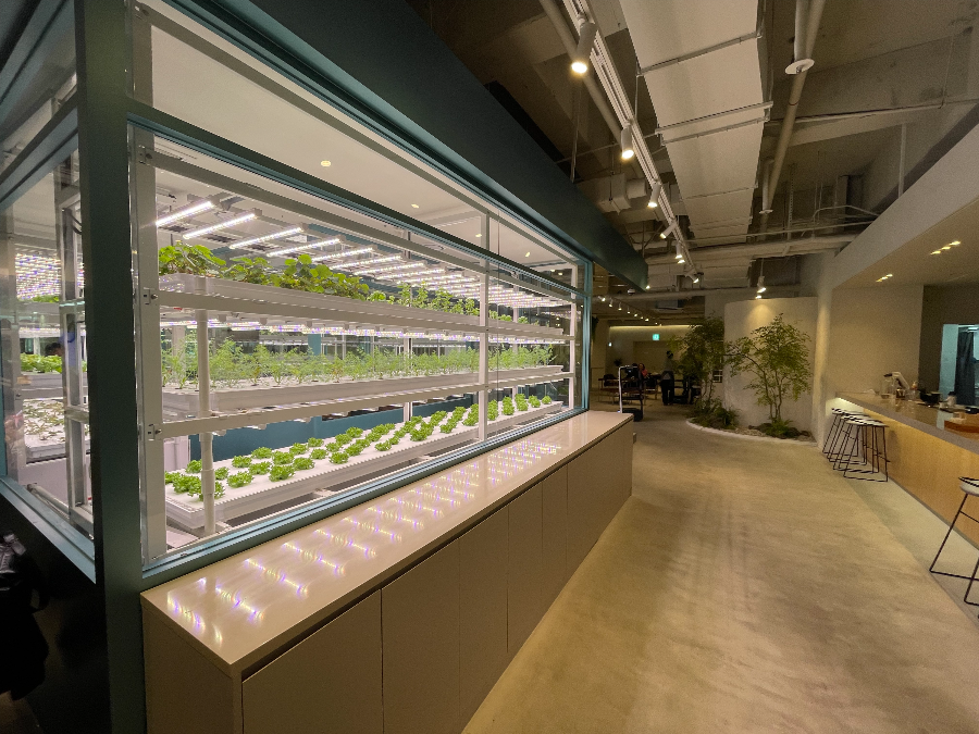 창작뮤지컬 '천 개의 파랑' - 인간과 기술의 경계를 넘나드는 감동의 서사