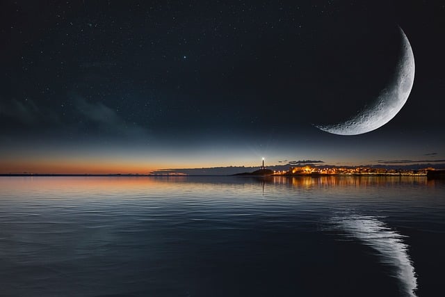 비둘기자리(Columba) – 한국 겨울 하늘에 남겨진 항해와 평화의 상징