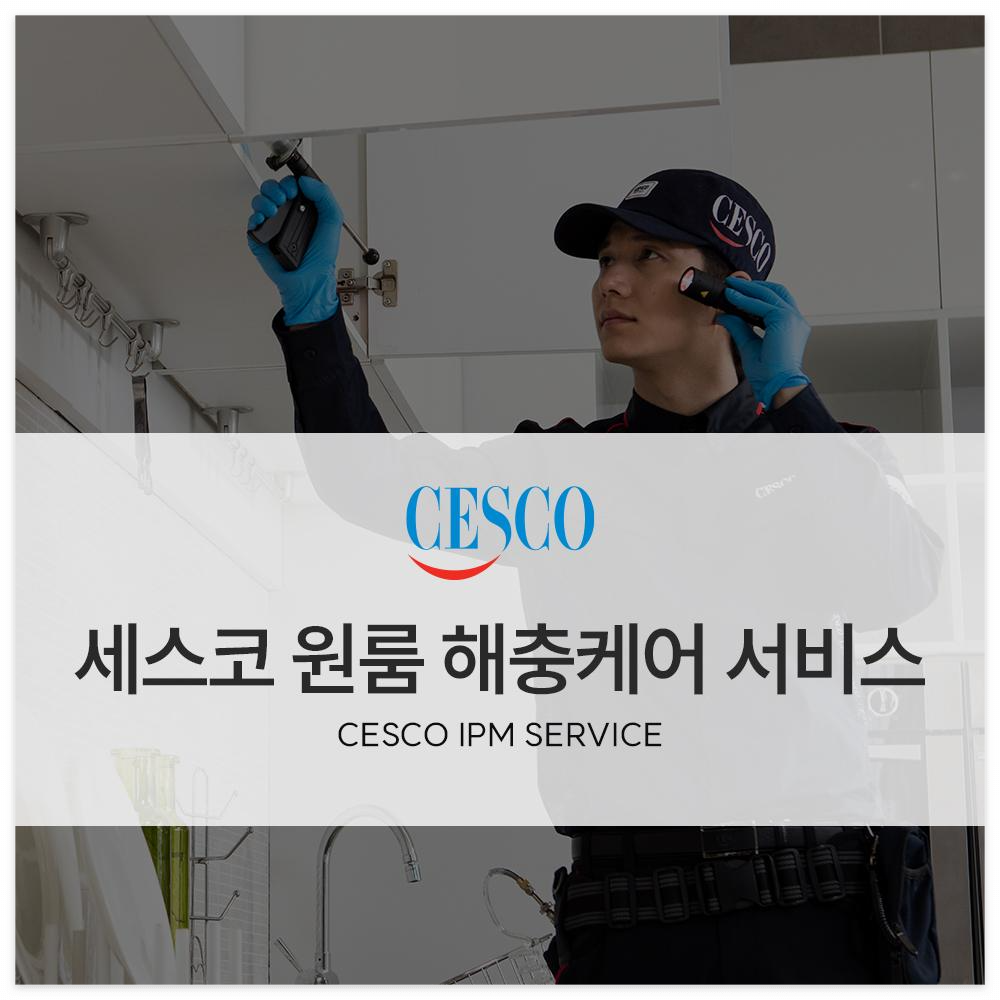 세스코 가정집 가격