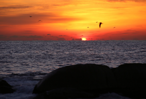 전통 장독대의 구조와 발효 지식