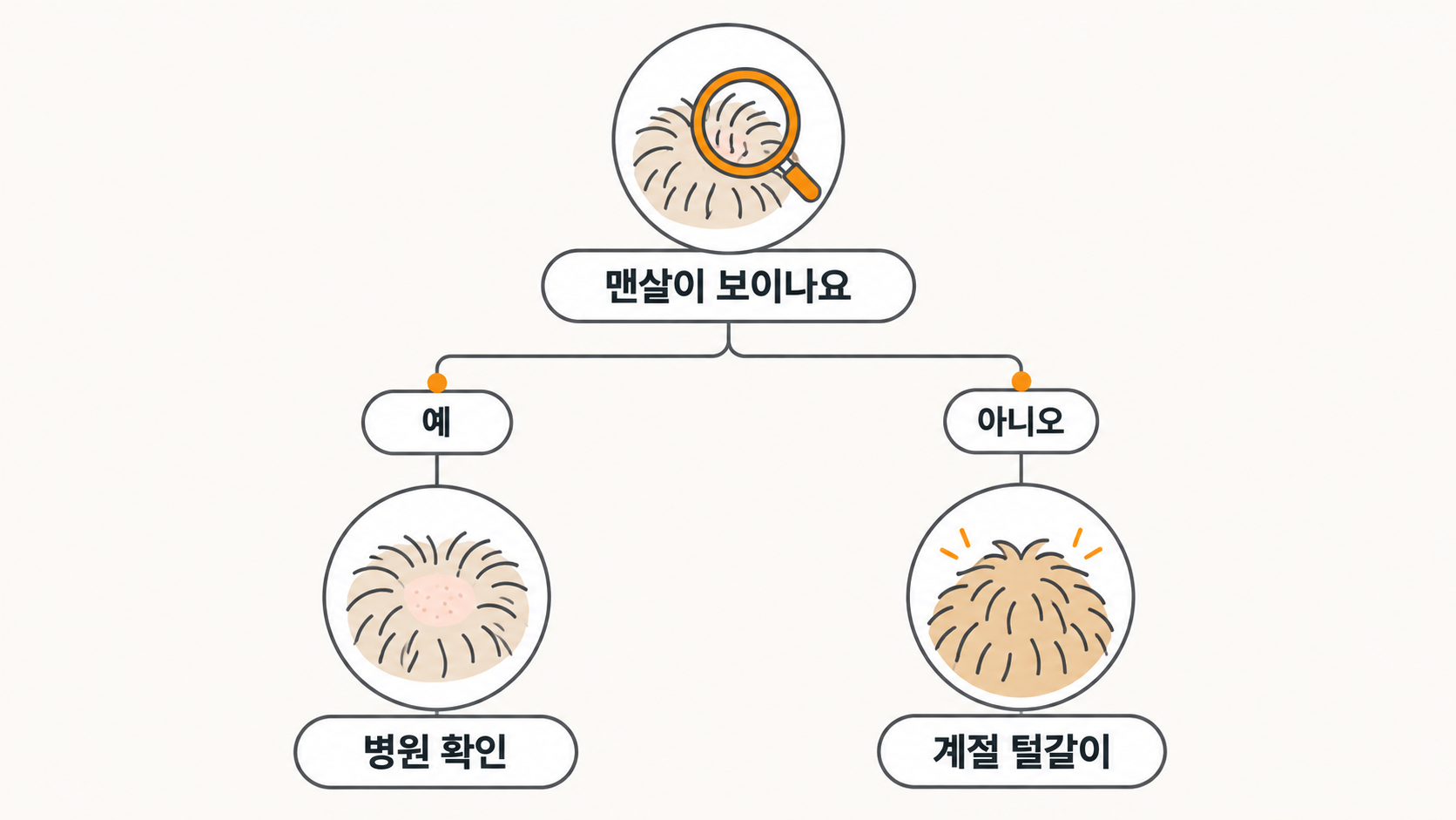 탈모 의심 갈림길