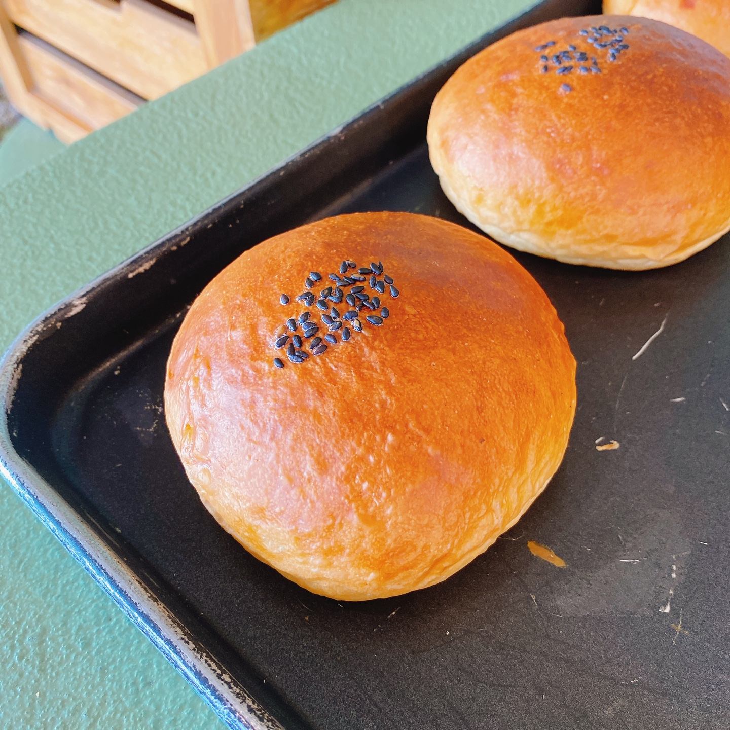 제주 성산 섭지코지 아쿠아플라넷 서귀피안 베이커리 카페