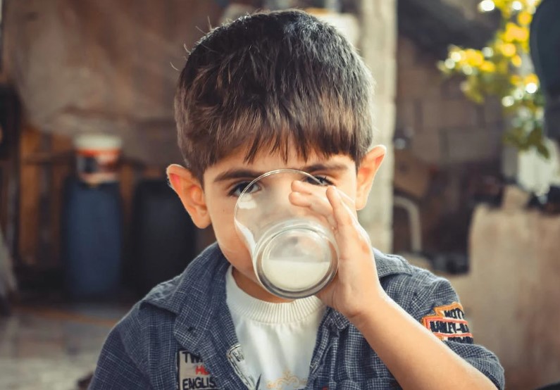 키크는 음식 추천