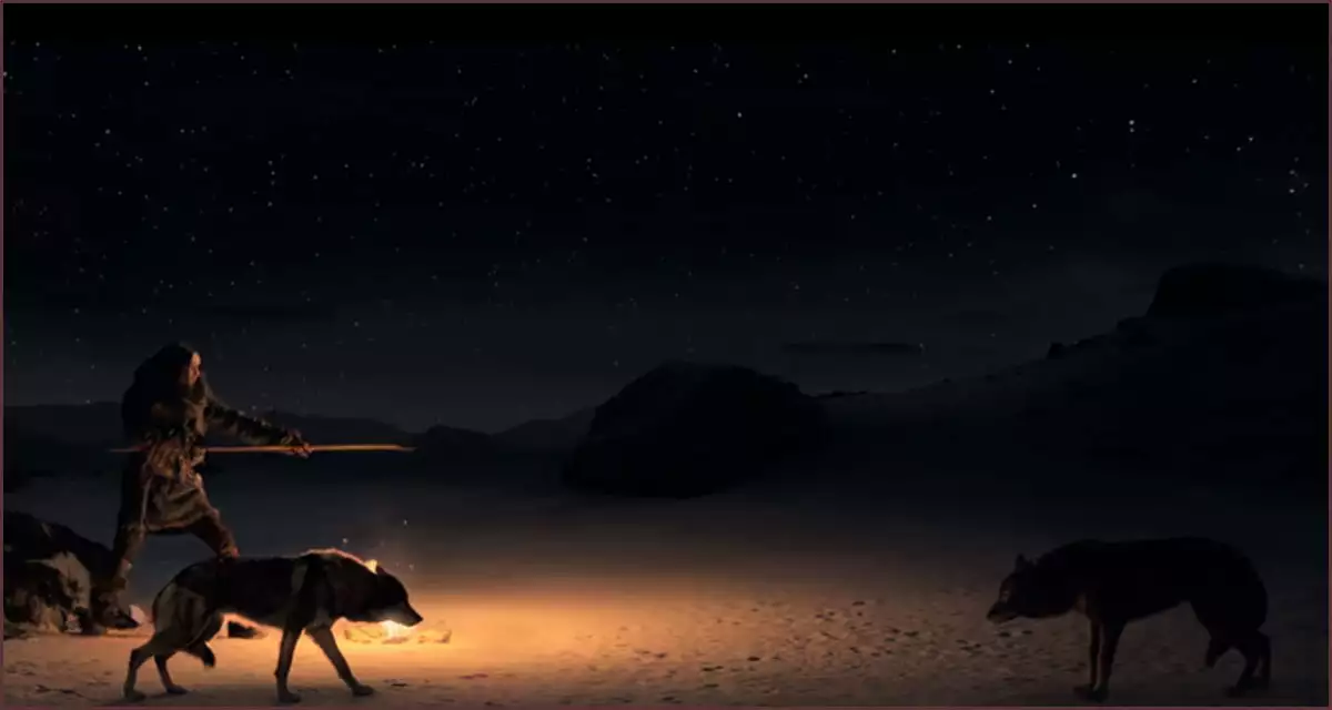 늑대 무리와 재회한 알파