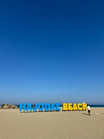 양양 맛집 베스트10 현지인 블루리본 맛집_13