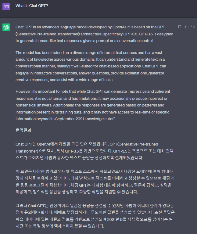 챗 지피티(GPT) (10)