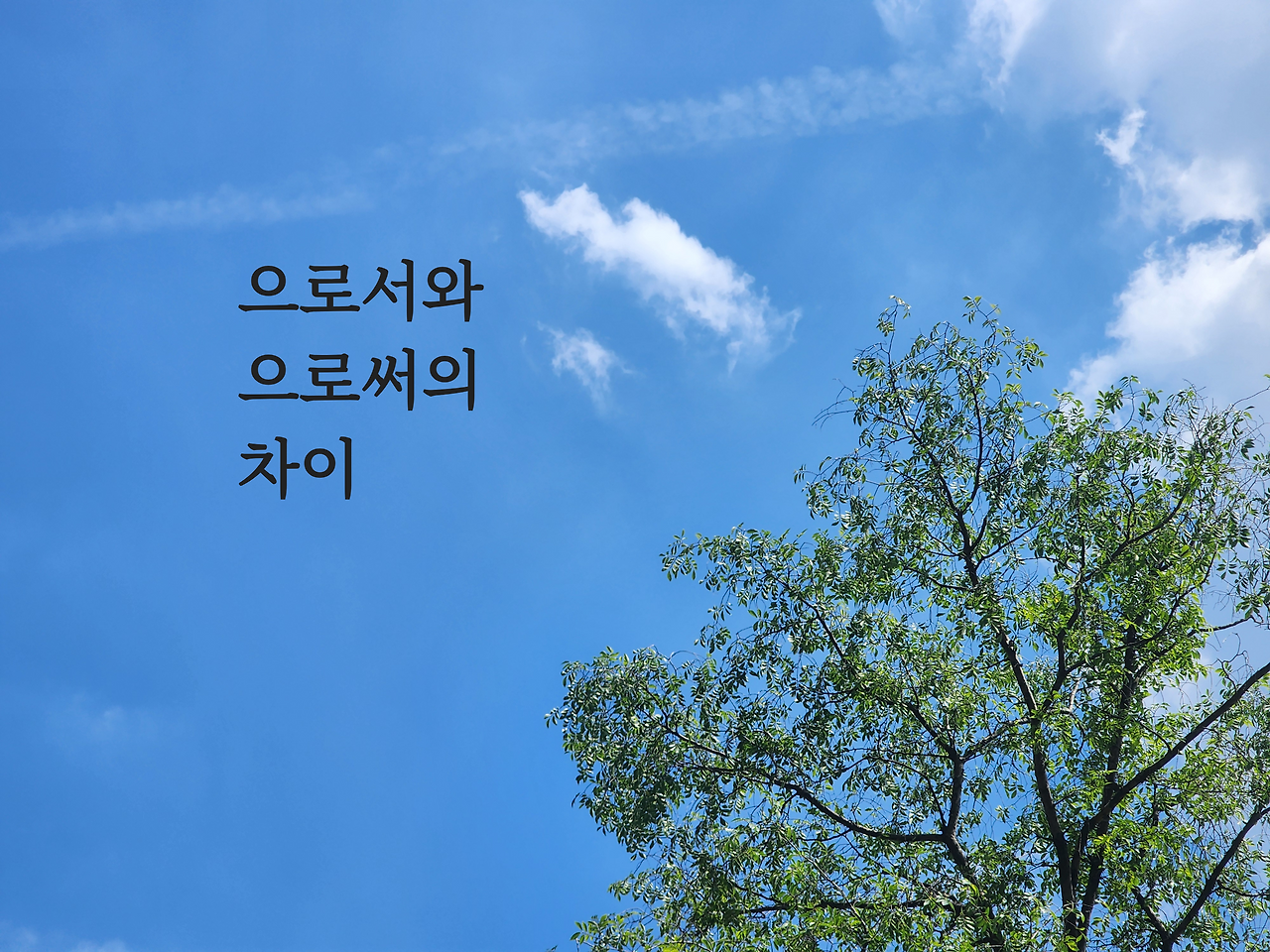 으로서와 으로써의 차이
