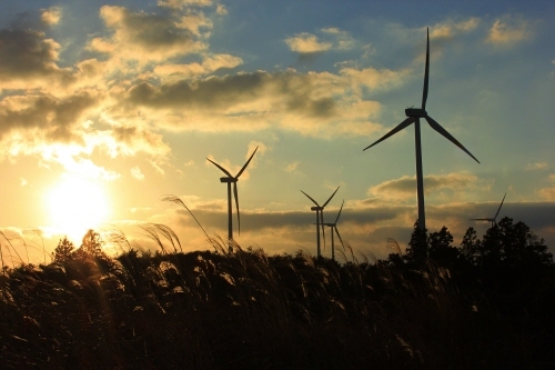 제주도 여행 제주 가볼만한곳