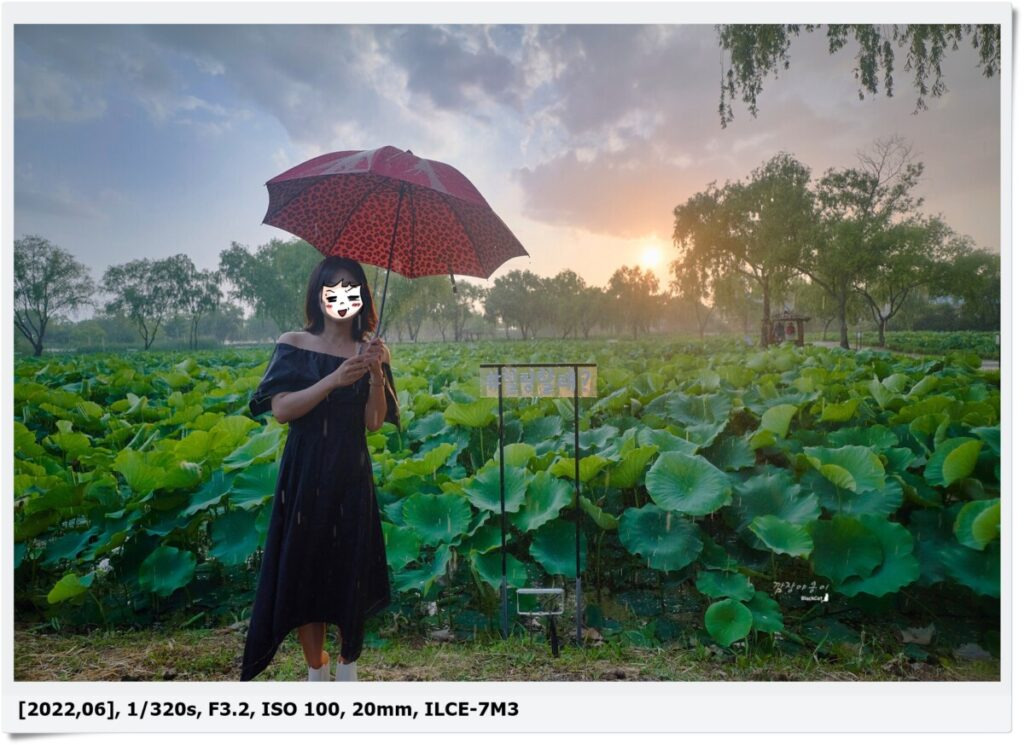 역사 기록상 최초의 인공정원, 부여 궁남지 (비가 오는데 해도 뜬..)