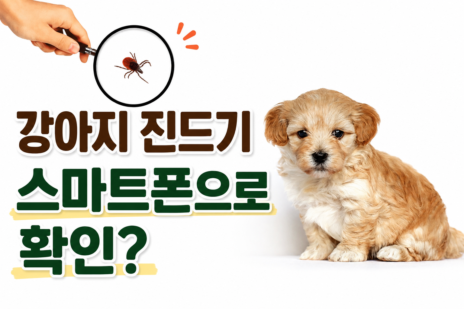 강아지 진드기를 스마트폰 확대 기능으로 확인하는 방법