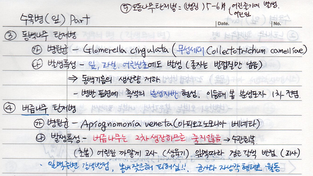 동백나무 탄저병&#44; 오동나무 탄저병&#44; 버즘나무 탄저병