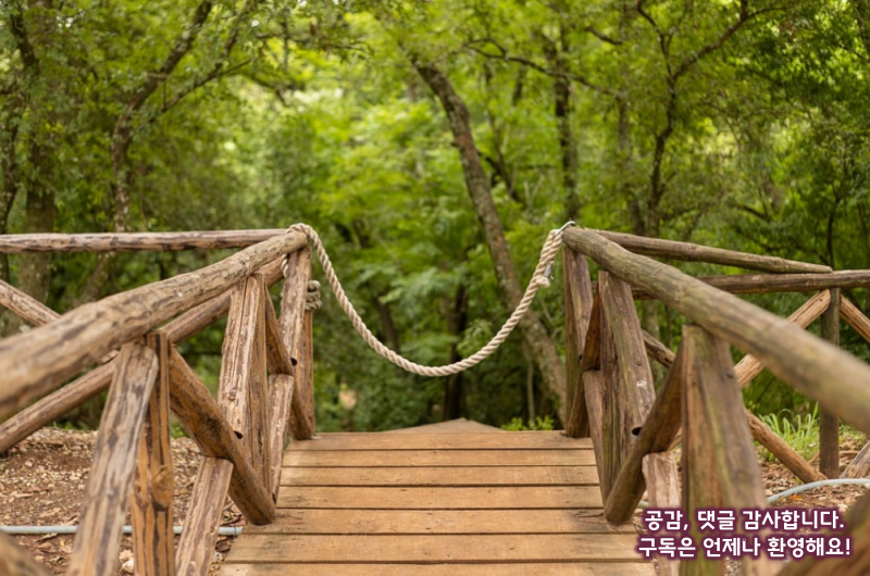 탈모에 좋은 음식