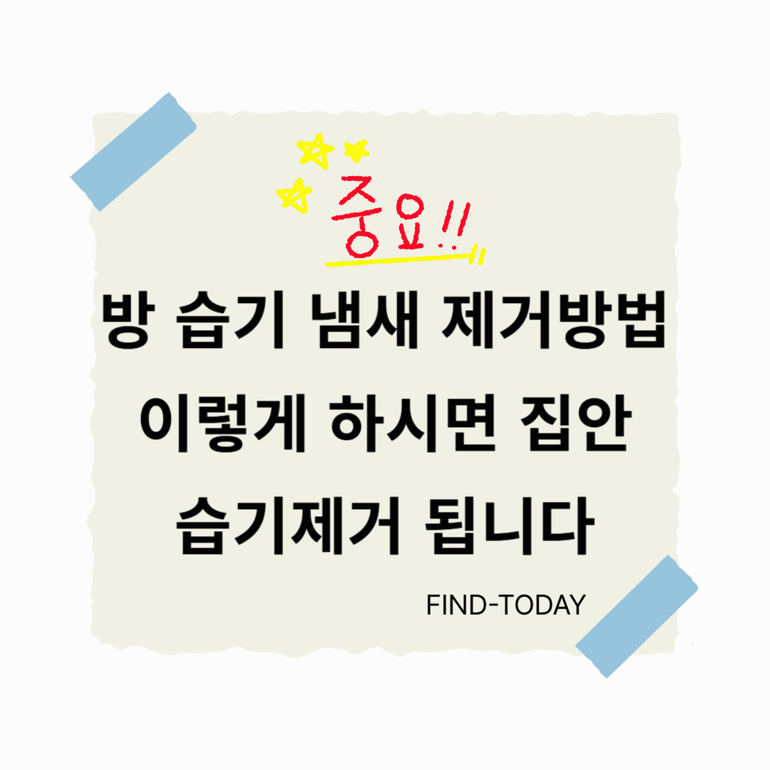 방 습기 냄새 제거방법, 이렇게 하시면 집안 습기제거 됩니다