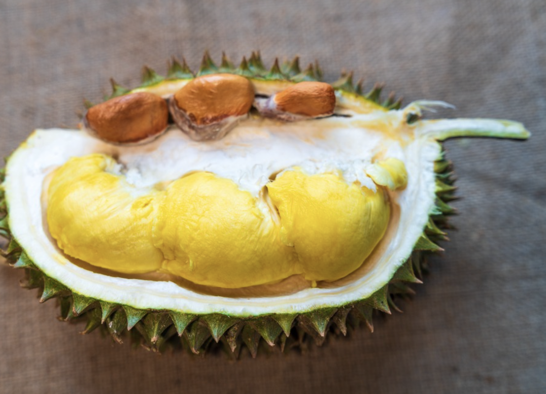 두리안 과육