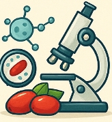 산수유 효능