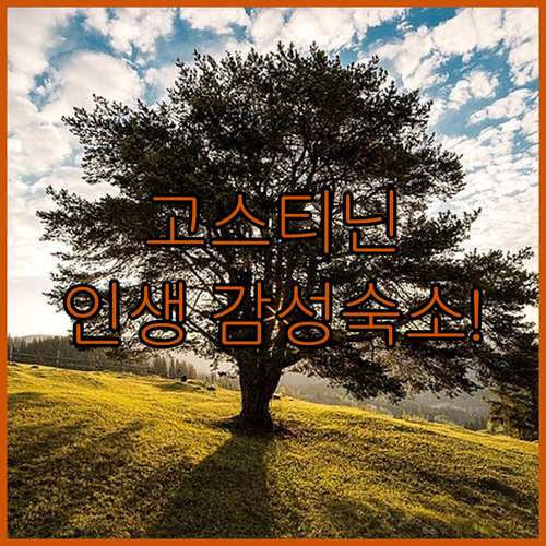 당신만 모르는 폴란드 고스티닌의 환상..