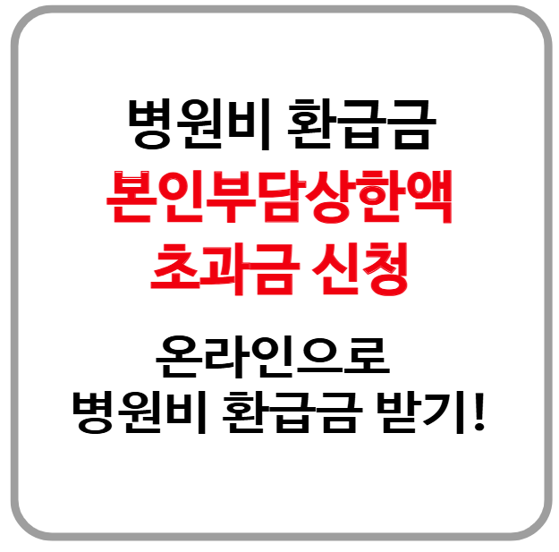 2025년 병원비 환급금 찾는 본인부담상한제 알아보기