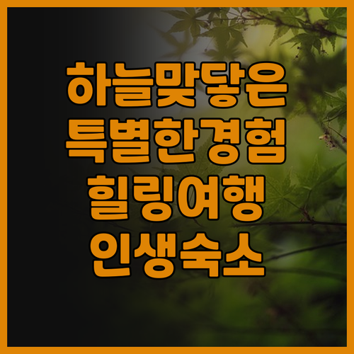 하늘과 맞닿은 특별한 경험, When..