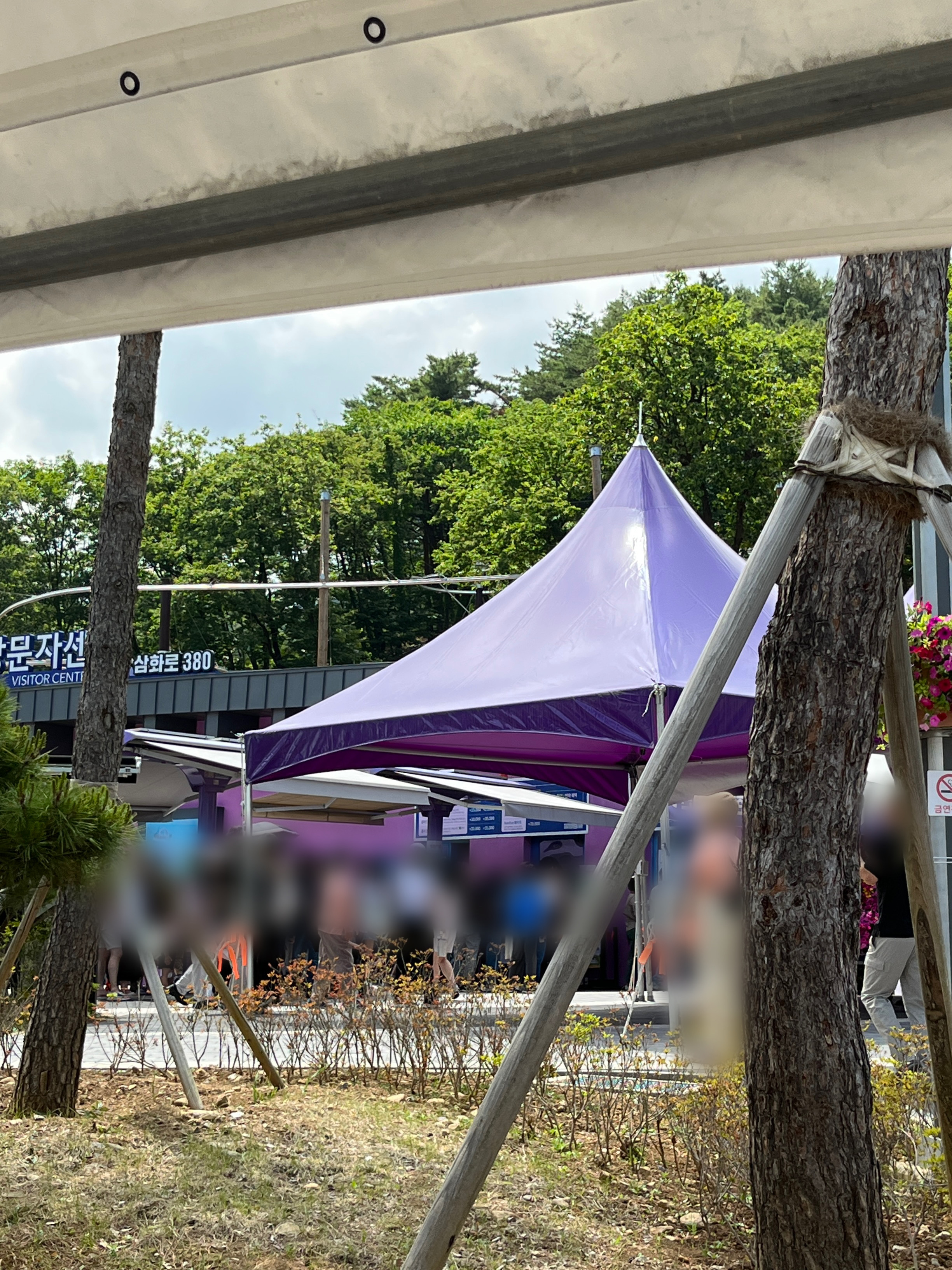 무릉별유천지 라벤더