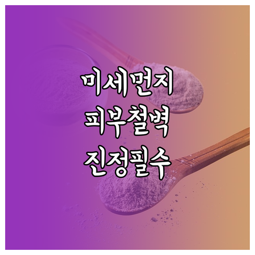봄철 미세먼지 차단하는 안티폴루션 피..