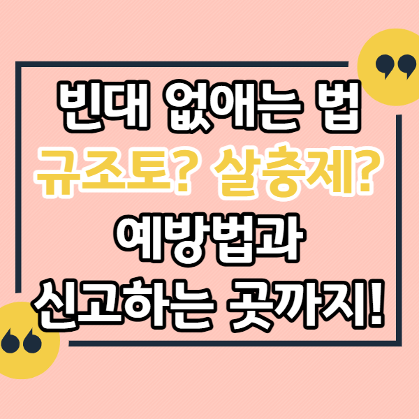 빈대-물린-자국-비오킬-살충제-효과-예방방법
