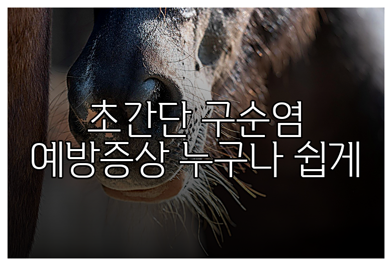 초간단 구순염 예방증상 누구나 쉽게