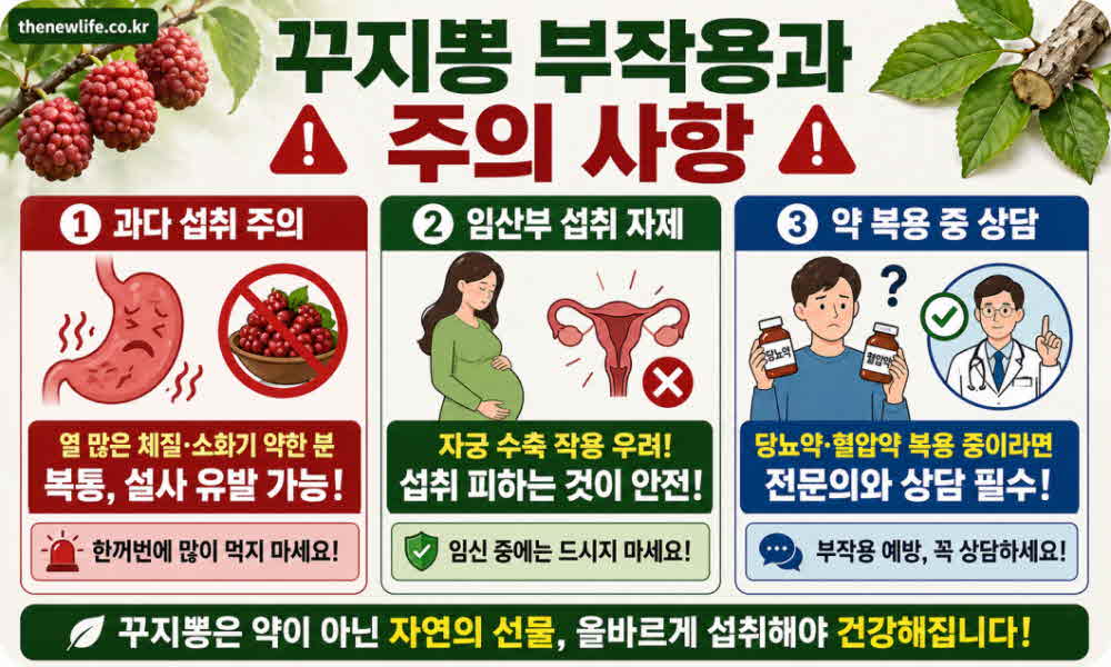 꾸지뽕 효능 부작용