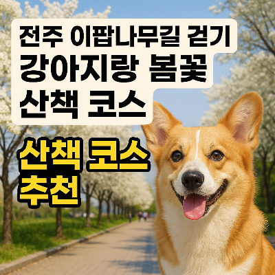 전주 이팝나무길&amp;#44; 강아지랑 걷기 딱 좋은 봄꽃 명소!