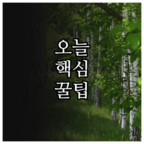 2025 국가유공자 진주시 지원 자격..